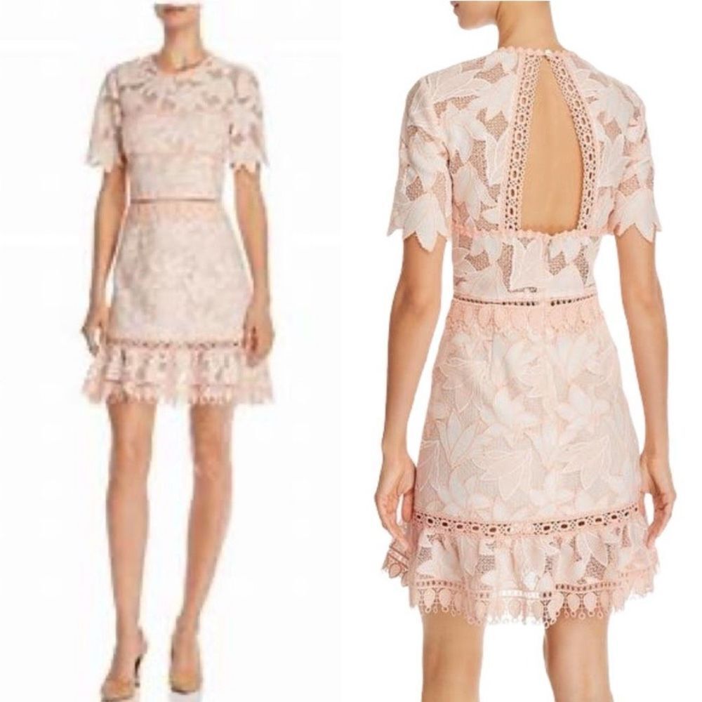 Saylor Birgit Floral Lace Mini Dress Blush Size S - Picture 3 of 12
